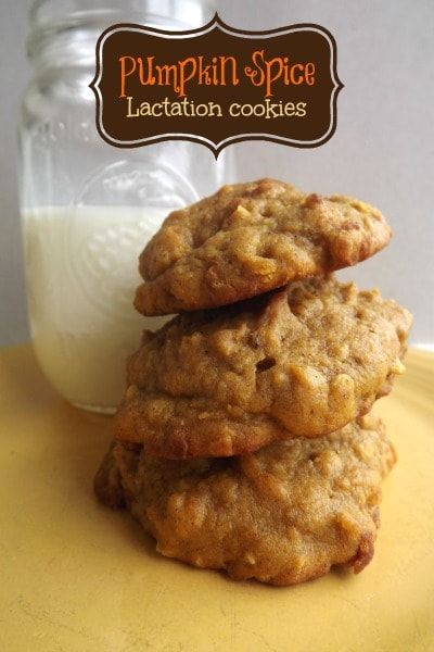 Laceys Cookies, Nyc Recipes, Powder Cookies, Cookies Nyc, Compost Cookies, Mothers Milk, Jar Cookies, Sour Milk, Milk Oatmeal