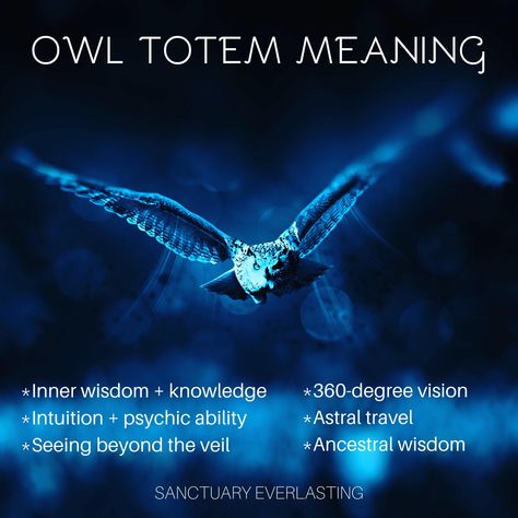 Owl Totem Meaning, Owl Symbolism Meaning, Owl Spiritual Meaning, Owl Spirit Animal Meaning, Spiritual Owl, Owl Medicine, Animal Totem Spirit Guides, Owl Symbolism, Animal Symbols