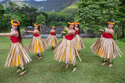 The Culture of Hawaii Hula Outfit, Hawaiian Hula Dance, Hawaiian Hairstyles, Hawaii Hula, Ladies Fancy Dress, Hawaiian Airlines, Hula Dance, Traditional Hairstyle, Hawaii Maui