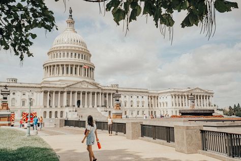 Living In Dc, Visit Washington Dc, Living In Washington Dc, Things To Do In Washington, Visiting Washington Dc, United States Capitol, Washington Monument, National Mall, Outdoor Movie