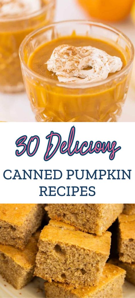 Pumpkin Can Recipes Easy, Pumpkin Filling Recipes Canned, Canned Pumpkin Puree Recipes, Recipes Using 100% Pure Pumpkin, What To Make With Canned Pumpkin, Recipes That Use Pumpkin Puree, Can Pumpkin Recipes, What To Make With Pumpkin Puree, Recipes Using Canned Pumpkin