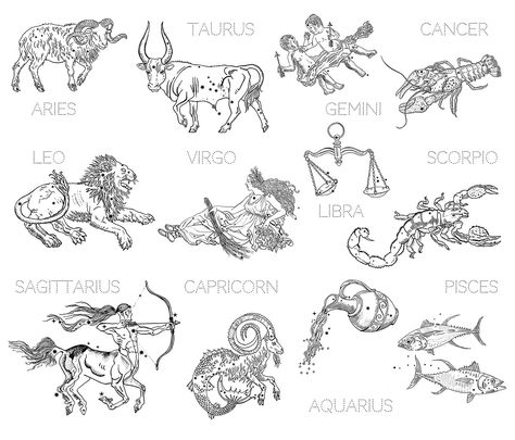 Zodiac Signs / Constellations :: Behance Star Sign Animals, How To Draw Constellations, Zodiac Symbols Art, Zodiac Signs Constellations, Constellation Drawing, Zodiac Animals, Constellation Tattoos, Zodiac Constellations, Zodiac Symbols