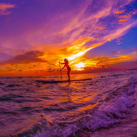 Paddle Boarding Pictures, Moon Yoga, Paddle Board Yoga, Florida Adventures, Inflatable Sup, Sup Boards, Sup Paddle, Paddle Boards, New Background Images