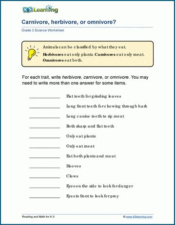 Students classify animals as carnivores, herbivores or omnivores. Free | Worksheets | Grade 3 | Printable Omnivores Carnivores Herbivores, Omnivore Carnivore Herbivore Worksheet, Carnivore Herbivore Omnivore Worksheets, Herbivore Carnivore Omnivore Activities, Carnivores Herbivores Omnivores, Grade 3 Science, Early Science, Worksheets For Grade 3, Cursive Writing Worksheets