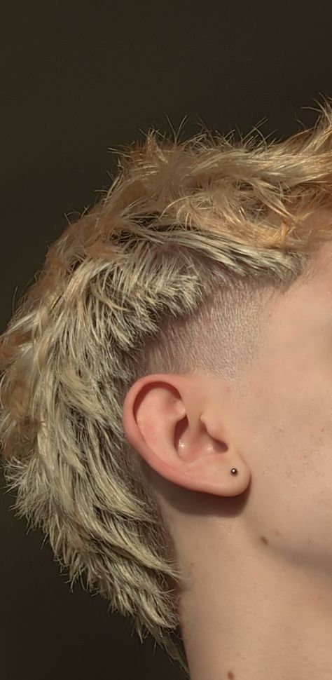 Short-medium blonde mullet with brown roots Burst Fade Mullet Women, Burst Fade Mullet Blonde, Men’s Modern Mullet Straight Hair, Short Blonde Mullet Men, Short Edgy Mens Haircut, Grey Hair Mullet, Guy Mullet Haircut, Alt Mullet Men, Short Mullet Wavy Hair