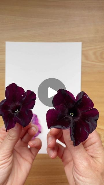 HammerFlower on Instagram: "Have you ever tried hammering flowers after watching the video? 🔨🌸🌿🧐" Flower Hammering On Paper, Flower Press On Fabric, Hammer Flowers On Fabric, Dry Flowers Craft Ideas, Diy Dry Flowers Crafts, Dried Flowers Painting, Hammering Flowers On Paper, Flower Press Ideas, Pressed Flowers On Canvas