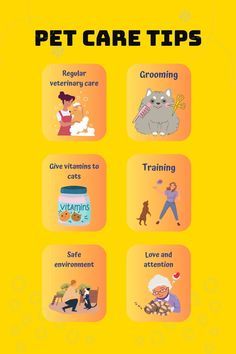 Pet Study, English Bulldog Care, Pet Care Business, Health Posters, Shelter Ideas, Natural Pet Care, Mental Health Posters, Mental Stimulation, Dog Tips