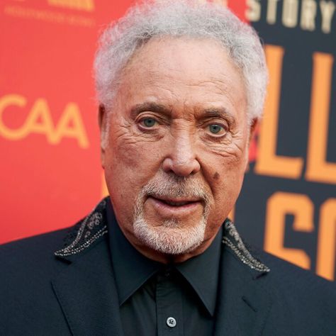 'He's A P***k': Tom Jones Has Some Strong Words For This 1 Fellow Crooner — HuffPost Tom Jones Selfie 2024, Sir Tom Jones, Tom Jones, Strong Words, A P, Quick Saves