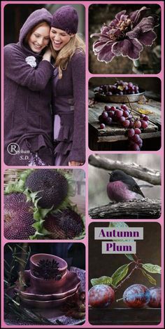 Plum Color Palette, Fall Purple, Color Schemes Colour Palettes, Color Collage, Purple Tones, Beautiful Collage, Color Palette Design, All Things Purple, Colour Schemes