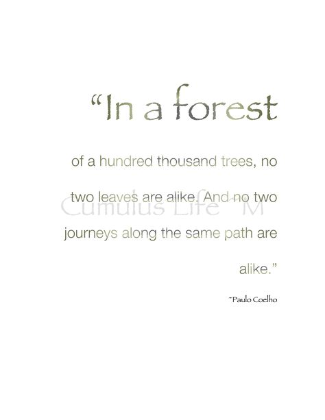 “In a forest of a hundred thousand trees, no two leaves are alike. And no two journeys along the same path are alike.” ~Paulo Coelho #Earth #Environment #Nature #Quote #Trees If A Tree Falls In The Forest Quote, Forest Quotes, Earth Environment, Nature Quote, Tree Quotes, Wild Child, Autumn Trees, A Tree, Trees