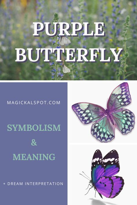 Purple Butterfly Meaning Spiritual, Purple Butterfly Meaning, Butterfly Symbolism Meaning, Butterfly Names, Butterfly Blessings, Tree Of Life Meaning, Butterfly Symbolism, Butterfly Meaning, Purple Butterfly Tattoo