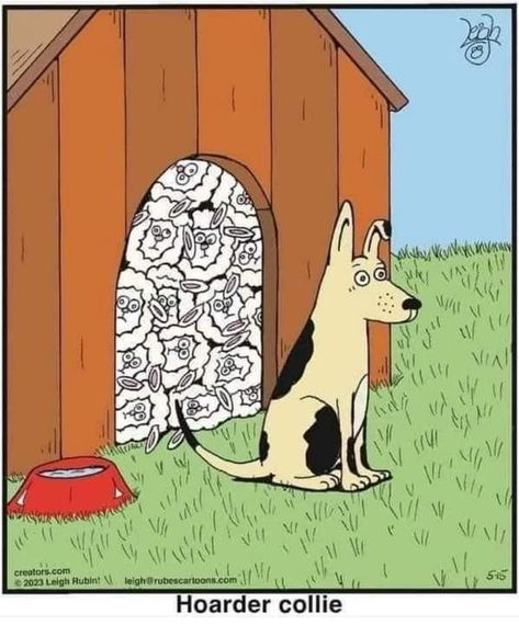 Cartoon Dog, A Cartoon, Funny Cartoons, Border Collie, Bones Funny, Funny Comics, Dog Life, Funny Dogs, Get Ready