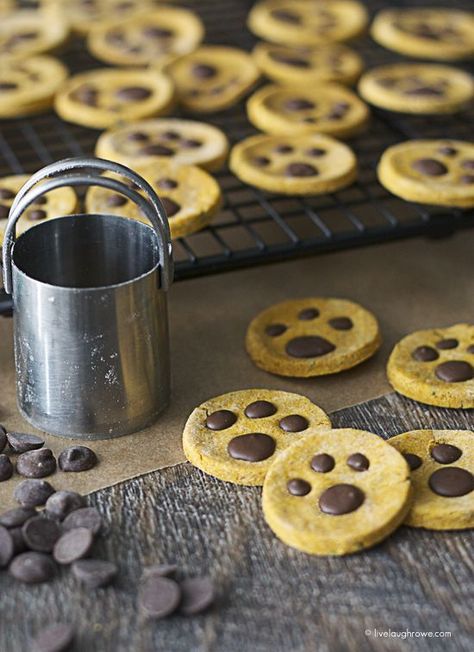 Homemade Pet Treats, Dog Biscuit Recipes, Carob Chips, Diy Dog Treats, Food Dog, Dog Bakery, Puppy Treats, Dog Cookies, Dog Biscuits