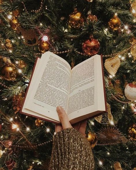 20 Bookish Christmas Decor Ideas for Cozy Reading Winter Aesthetic Reading, Book Winter Aesthetic, Christmas Book Pictures, Winter Break Aesthetic, Christmas Books Aesthetic, Christmas Reading Aesthetic, Christmas Book Aesthetic, December Mood Board, Christmas Study