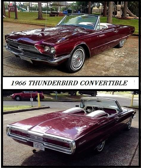 Ford Thunderbird Convertible, Thunderbird Convertible, Old American Cars, Luxury Cars Rolls Royce, Hot Rods Cars Muscle, Old Vintage Cars, Vintage Automobiles, Ford Car, Classic Cars Trucks Hot Rods