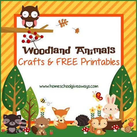 FREE Woodland Animals Crafts and Printables | Free Homeschool Deals © | Bloglovin’ Woodland Animals Crafts, Animal Scavenger Hunt, Forest Animals Preschool, Forest Animal Crafts, Forest Classroom, Animals Crafts, Forest Animals Theme, Free Printables For Kids, Camping Classroom