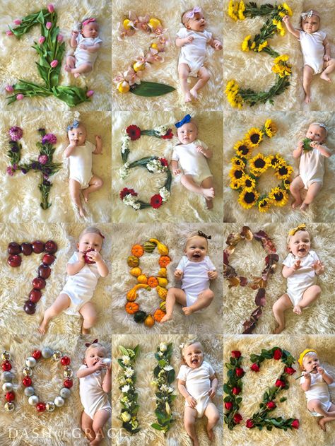 Quinn Newman's Swan Themed Birthday Baby Collage, Foto Kids, Monthly Pictures, Monthly Baby Pictures, Monthly Baby Photos, Milestone Pictures, Flowers Birthday, Birthday Boys, Foto Baby