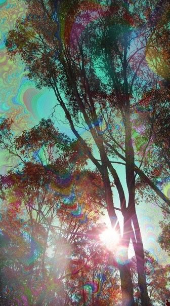 Trippy Pictures, Trippy Iphone Wallpaper, Colorful Things, Psychadelic Art, Rainbow Tree, Planets Wallpaper, Psy Art, Rainbow Magic, Tree Canopy