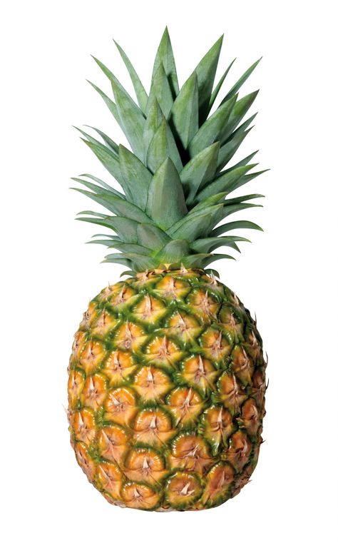 Fruit Png, Web Clipart, Pineapple Photo, Pineapple Clipart, Fruit Cartoon, Fruit Clipart, Pineapple Fruit, Tropical Fruits, Glass Animals