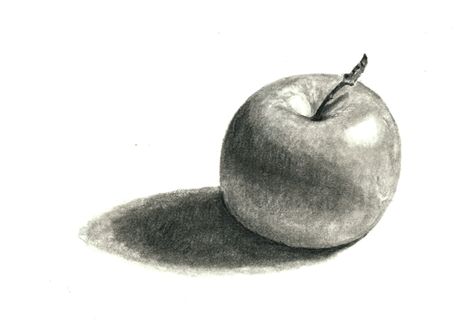 Apple study as an exercise in light and shadows.  This was sort of the first step in my acrylic apple study. Apple Sketch Step By Step, Light And Shadow Sketch, Apple Study, Apple Sketch, Apple Silhouette, Drawing Basics, Drawing Apple, Apple Picture, Light Study