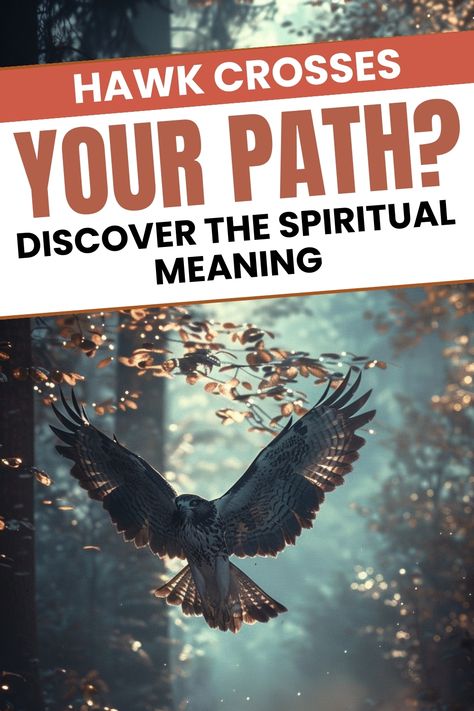 Hawk crossing path spiritual meaning. Hawks Spiritual Meaning, Hawk Spiritual Meaning, Hawk Meaning, Hawk Symbolism, Bird Symbolism, Hawk Bird, Spiritual Eyes, Sign Meaning, Animal Symbolism