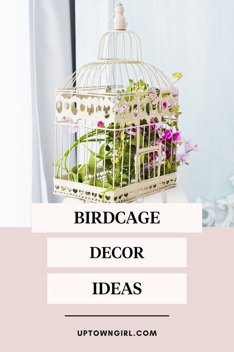 Shabby Chic Bird Cage Ideas, Fake Bird Cage Decor, Garden Birdcage Ideas, White Bird Cage Decor, Birdcages Decor Ideas Display, Small Birdcage Decor Ideas, Birdcage Decorating Ideas, Antique Birdcage Decor, How To Decorate With Bird Cages