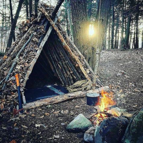 When you really make an effort and the outcome is just beautiful. What do you think about it?, let us know in a comment below. Double tap the image to show the love.  #bushcrafting #wildernessnation #explore #exploring #adventures  Visit Survival Life TODAY for more bushcrafting facts and survival news. Click the #linkinbio  Repost from @globaloutdoorsurvivalclub  Photo by @poordevil!! and @campchasers Camping Photos, Shelter Ideas, Bushcraft Shelter, Outdoor Shelters, Survival Supplies, Bushcraft Camping, Survival Shelter, Homestead Survival, Survival Life