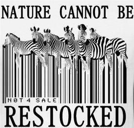 Remember that.. #saveourplanet #thepinmaster Capital Resources, Ochrana Prírody, Mother Nature Quotes, Save Our Earth, Animal Conservation, Afrikaanse Kunst, Foto Art, Concrete Jungle, Save Earth