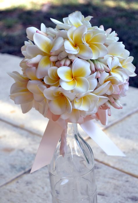 Plumeria Flower Bouquet, Plumeria Flowers Bouquets, Frangipani Wedding Decorations, Frangipani Wedding Bouquet, Frangipani Bouquet, Hawaiian Bouquet, Fiori Frangipani, Flores Plumeria, Plumeria Wedding