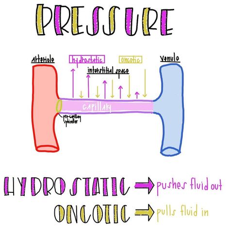 Hydrostatic Pressure, Med Notes, Cardiac Nursing, Future Nurse, Cardiology, Anatomy And Physiology, Medical School, Warning Signs, Nursing Students