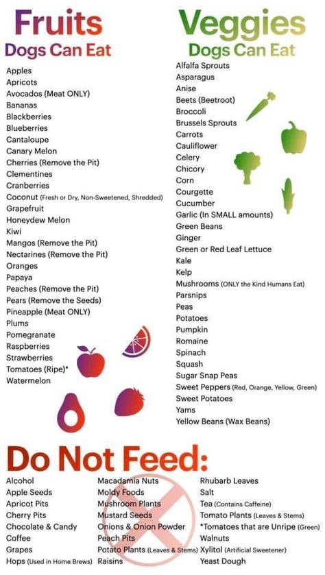 Healthy People Food For Dogs, Safe Puppy Treats, Homemade Pet Food Dogs, Food That Dogs Can Eat, Safe Homemade Dog Treats, Homemade Canned Dog Food, Dog Diet Plan Healthy, Food Dogs Can Have, Dog Kibble Add Ins