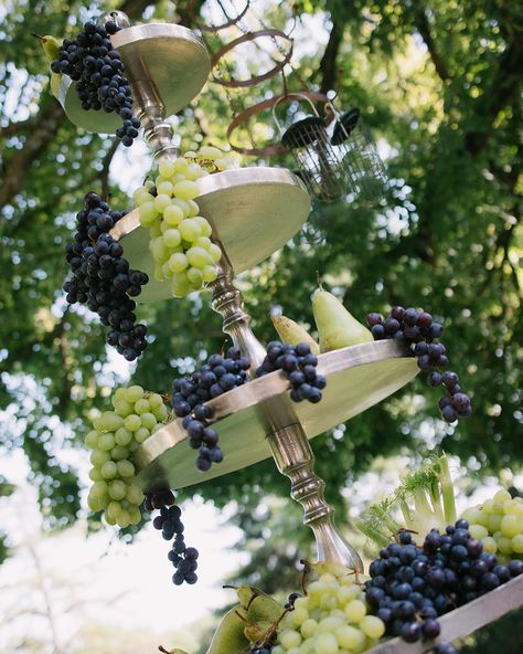 Nicole & Tanner | August 2024 | the perfect wedding week-end at the stunning @chateaudefontareches . Timeless vibes, white tableware, green grapes decor , and a gorgeous bride in @janaanncouture 🤍 Thanks @nicole.prenovost @tannerprenovost , you guys were the sweetest 🫶🏻 . Photos & Film @covaproductions WP @empreinteephemere Catering @citronpavot Flowers @le.fleuriste Rentals @options_aixenprovence Wines & spirits @pepites_de_vin Music @dj_bryce_ @sax.vibes mua @delphine.ruffini Flower Pergola, Wedding Cake With Green, Pergola Wedding, Grape Flower, Wedding Planning Details, Grape Decor, Wedding Theme Inspiration, Wine Grapes, White Tableware