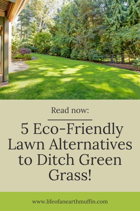 Ditch the Green Grass! 5 Unique Eco-Friendly Lawn Alternatives Eco Friendly Lawn, Grass Alternatives, Grass Alternative, Tiny Backyard, Permeable Pavers, Lawn Alternatives, Low Maintenance Landscaping, Front Lawn, Drought Tolerant Plants