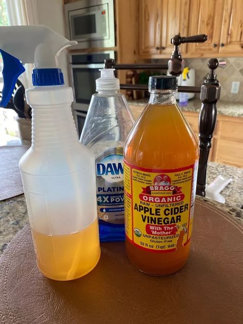 Best Homemade Bug Repellent Recipe | Hometalk How To Repel Flies, Bug Deterrent, Homemade Bug Repellent, Potato Box, Repel Flies, How To Get Rid Of Gnats, Dawn Dish Soap, Banana Peel, Best Shakes