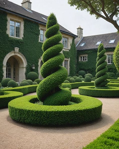 Boxwood Topiary Garden, Boxwood Garden, Outdoor Sitting, Garden Nails, Garden Hedges, Front Garden Landscape, Courtyard Gardens Design, Outdoor Sitting Area, Topiary Garden