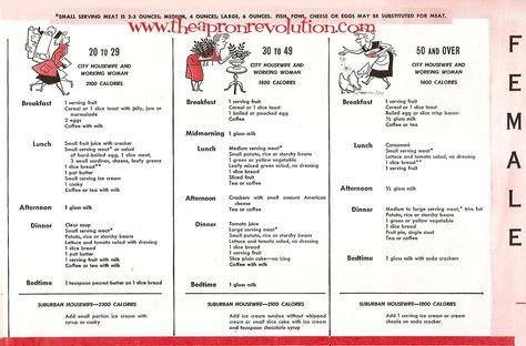 1950s meal planning guide pt. 3 1950s Diet, Four Food Groups, 1950s Food, 1950s Housewife, Egg Coffee, Vintage Housewife, Retro Housewife, Fruit Breakfast, Diets For Women