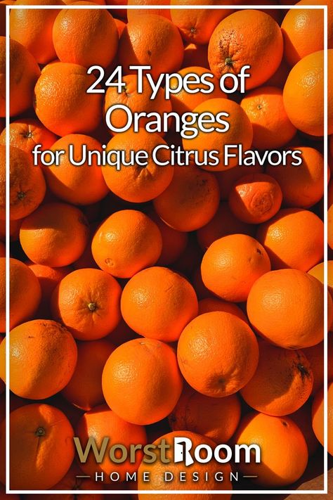 Types of Oranges Halo Oranges, Oranges Fruit, Types Of Oranges, Orchard Tree, Fruit List, Farm Stuff, Oranges And Lemons, Juicy Fruit, Orange Tree