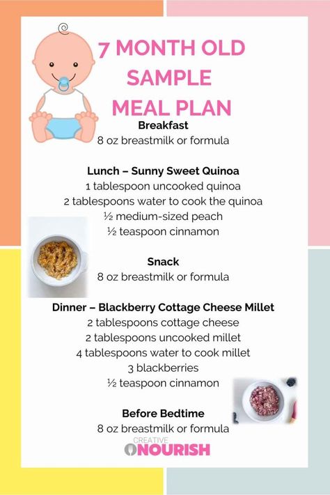 7 Month Old Meal Plan – Nutritionist Approved - Creative Nourish 7 Month Old Food, 7 Month Old Baby Food, 8 Month Old Baby Food, 7 Months Baby Food, Cinnamon Snack, Baby Meal Plan, 7 Month Baby, Baby Nutrition, 7 Month Old Baby