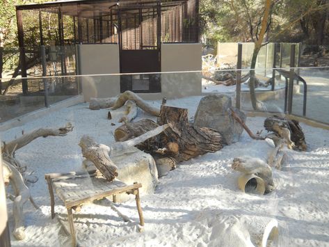 Meerkat Habitat, Meerkat Enclosure, Zoo Boo, African Desert, Animal Enclosures, Zoo Inspiration, Zoo Map, Zoo Project, Enclosure Ideas