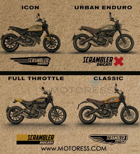 Ducati Scrambler on MOTORESS Ducati Scrambler Cafe Racers, Ducati Icon, Ducati Scrambler Icon, Ducati Scrambler Sixty2, Scrambler Sixty2, Ducati Scrambler Custom, Scrambler Icon, Ducati Monster 1200, Ducati Cafe Racer