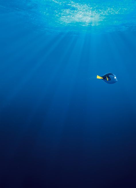 3840x5304 finding dory 4k best wallpaper for desktop background Nemo Wallpaper, Desktop Wallpaper Quotes, Laptop Wallpaper Desktop Wallpapers, Artistic Wallpaper, Computer Wallpaper Desktop Wallpapers, Wallpaper Disney, Disney Phone Wallpaper, Finding Dory, Wallpaper Iphone Disney