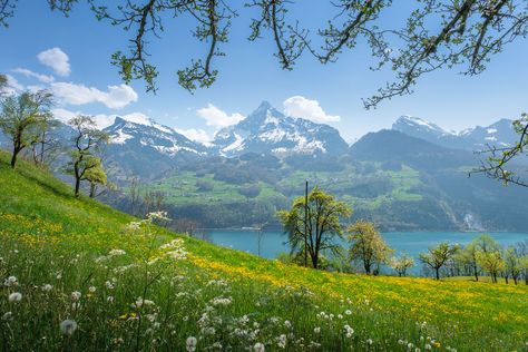 Swiss Countryside, Switzerland Countryside, Switzerland Landscape, Switzerland Aesthetic Wallpaper Desktop, Switzerland In Spring, Countryside Wallpaper Desktop, Spring Cover Photos, Switzerland Landscape Wallpaper, Switzerland Desktop Wallpaper Hd