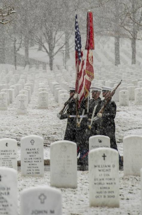 The 100 Best Photos of the Week (8) Snow Falling, Arlington National Cemetery, I Love America, Semper Fi, American Flags, National Cemetery, Military Love, A Flag, Us Marines