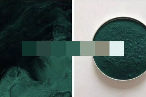 This color palette is inspired by a copper complex - Phthalocyanine Green G, aka Phthalo Green. It comprises seven shades of intense cool green with hints of blue, two sage hues, and one light shade of bluish green, brightening the palette. Phthalo Green Room, Phalto Green Color, Phthalo Green Paint, Phlato Green Color, Phlato Green Aesthetic, Phthalo Green Color Palette, Phtalo Green Bedroom, Dark Shades Of Green, Pthalo Green Color Palette