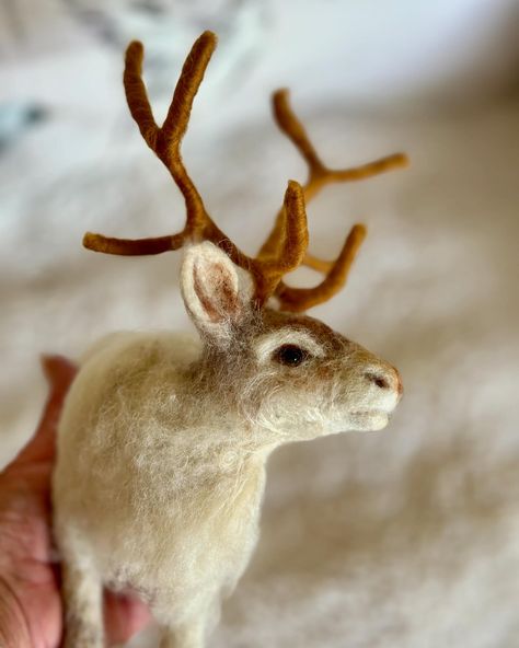 A little peek at one of the new reindeer I’m creating for this season #reindeer #feltanimal #reindeers #reindeersculpture #reindeerornament #reindeerart #needlefeltreindeer Needle Felted Deer Tutorial, Reindeer Sculpture, Felt Reindeer, Needle Felting Tutorials, Reindeer Antlers, Reindeer Ornaments, Felting Tutorials, Needle Felt, Felt Animals