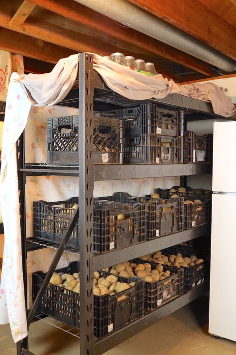 Root Cellar Storage, Storing Food Long Term, Food Storage Rooms, Harvest Storage, Potato Storage, Storing Vegetables, How To Store Potatoes, Canning Food Preservation, Canned Food Storage