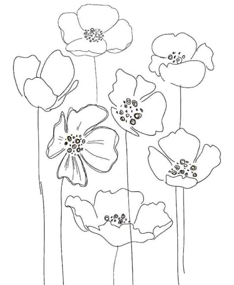 Poppies Poppy Flower Drawing, Arte Doodle, Flower Line Drawings, Simple Artwork, Contour Drawing, White Drawing, Pola Sulam, Poppy Seed, Flower Doodles