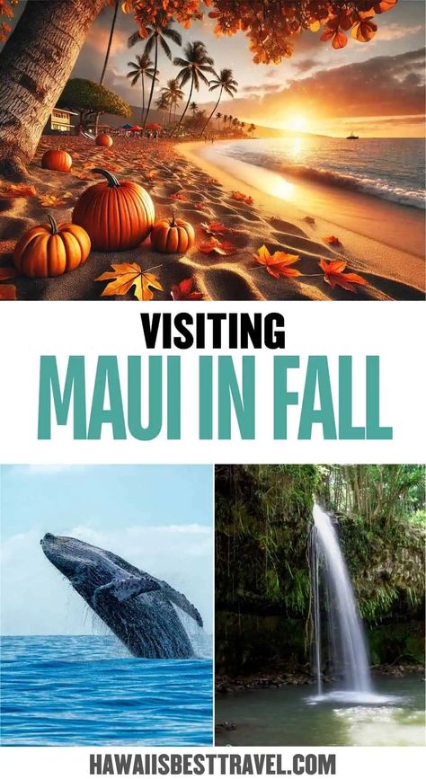 Discover the beauty of Maui in fall, where golden sunsets and cooler breezes make every moment magical. 🍁 Whether you're exploring the lush landscapes or enjoying the serene beaches, fall is the perfect time to travel to Hawaii. Dive into our guide for must-see spots and insider tips to make your Maui in fall adventure unforgettable. 🌺 Ready to explore? Start planning your trip today! Packing For Maui In October, Maui In November, Best Beaches In Maui, Things To Do In Maui, Hawaii Things To Do, Haleakala National Park, Hawaii Food, Scenic Road Trip, Fall Getaways