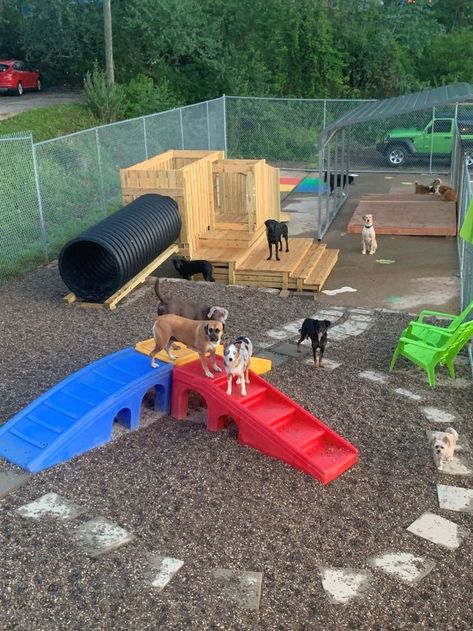 Small Dog Park Ideas, Home Boarding For Dogs, At Home Dog Daycare, Dog Area In Backyard, Dog Daycare Activities, Outdoor Dog Playground, Outside Dog Area, Dog Playground Ideas, Backyard Dog Playground