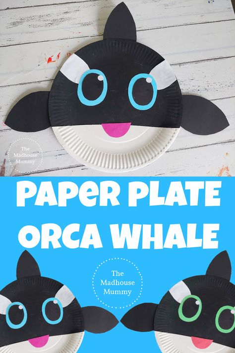 Ocean Animal Paper Plate Craft, Dolphin Paper Plate Craft, Sea Animal Preschool Craft, Ocean Week Preschool Crafts, Paper Plate Under The Sea Crafts, Sea Life Preschool Crafts, Ocean Prek Crafts, Easy Whale Craft, Orca Crafts For Preschool